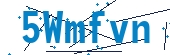 recaptcha
