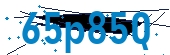 recaptcha