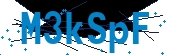 recaptcha