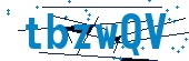 recaptcha